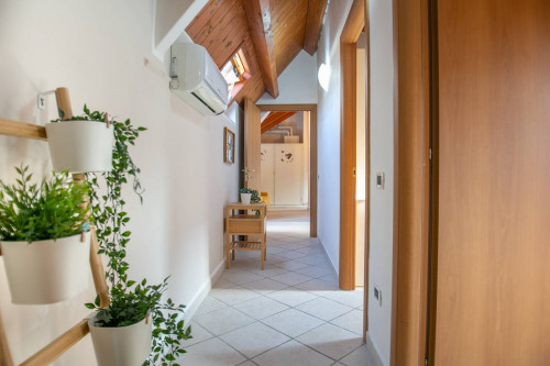 camere singole in affitto a Chieti