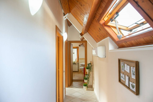 camere singole in affitto a Chieti
