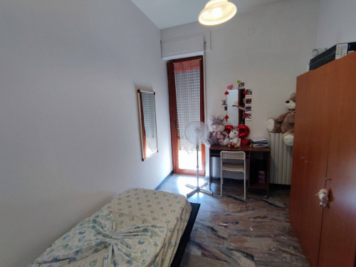 stanze singole in affitto a Chieti