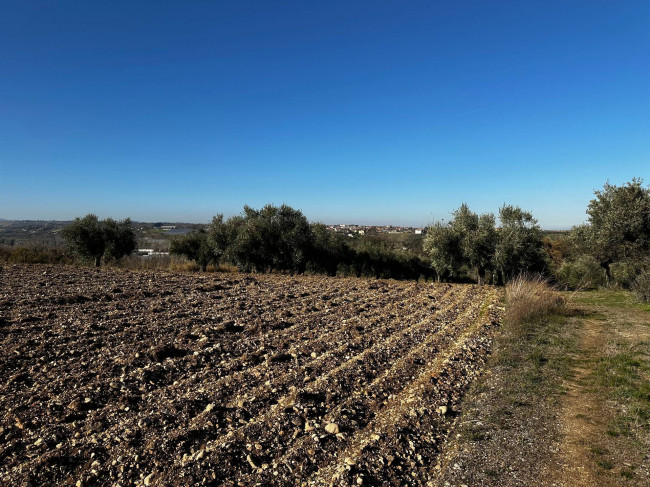 Terreno edificabile in vendita a Rosciano