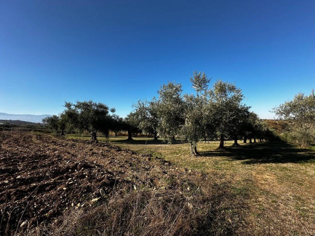 Terreno edificabile in vendita a Rosciano