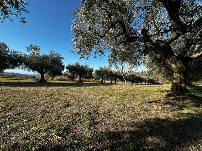 Terreno edificabile in vendita a Rosciano