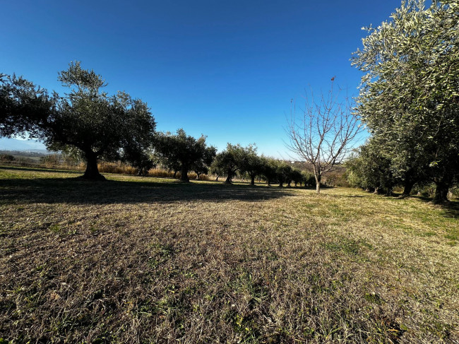 Terreno edificabile in vendita a Rosciano