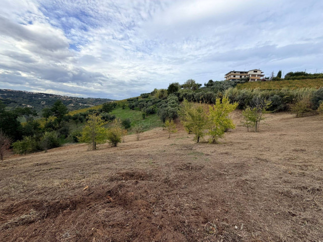 Terreno Agricolo in vendita a Bucchianico
