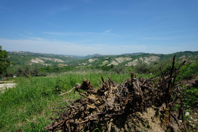 Appartamento in vendita a Roccamontepiano