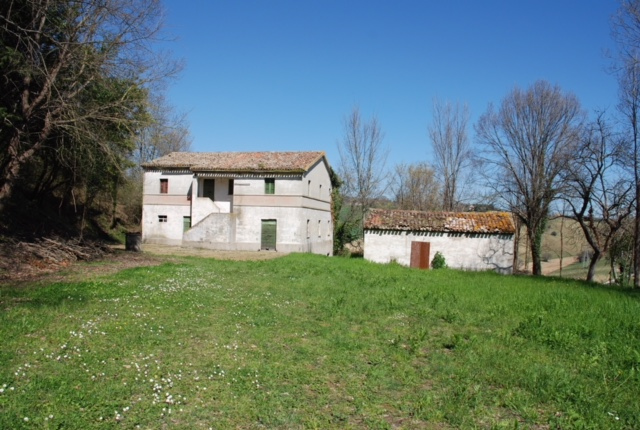 Farmland in Osimo (Ancona)