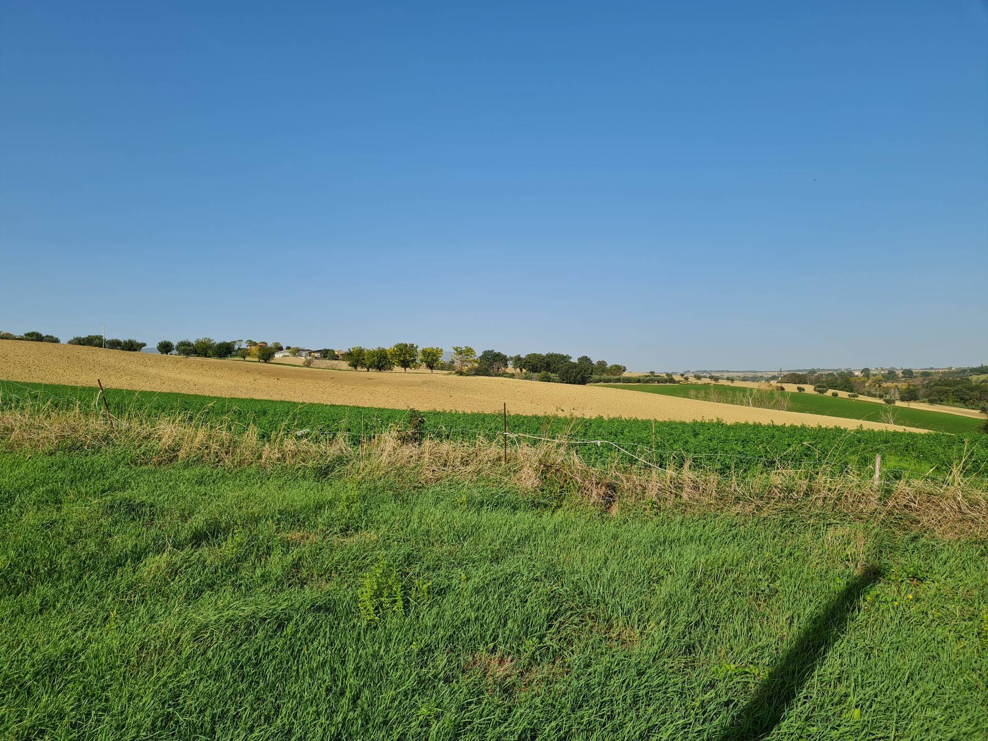 Casale a Treia (Macerata)