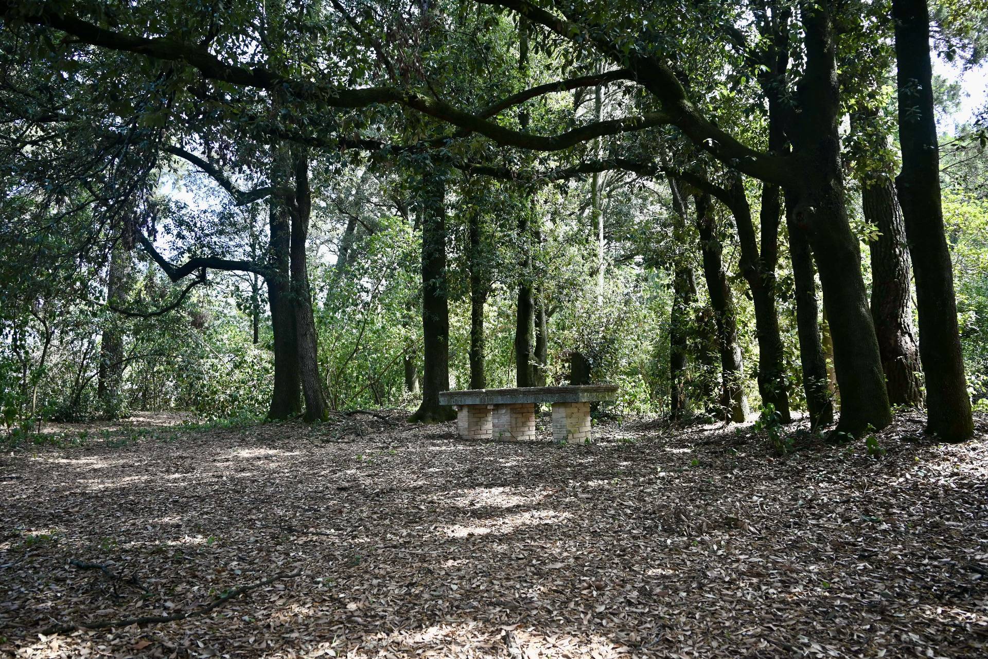 Villa a Treia (Macerata)