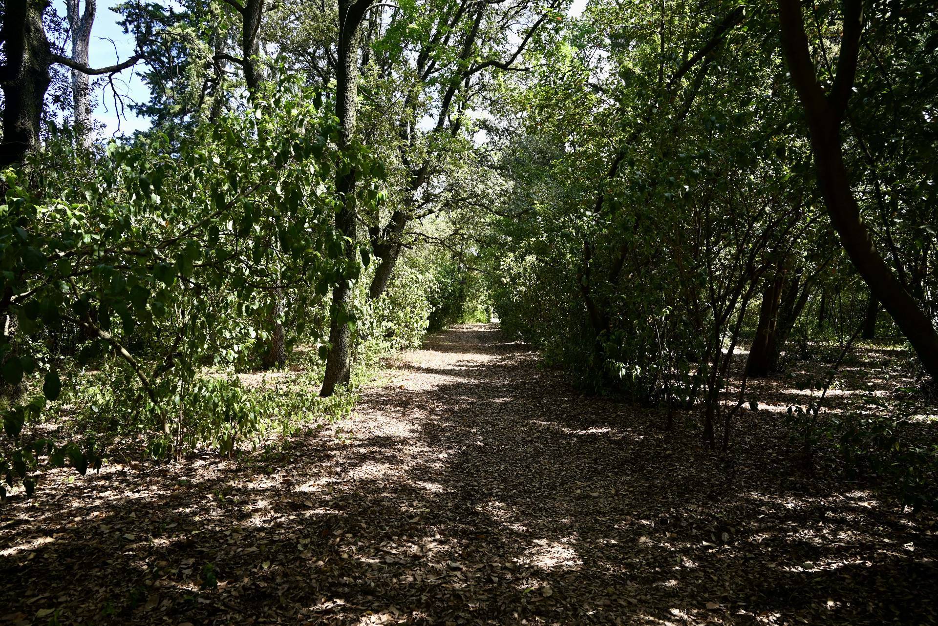 Villa a Treia (Macerata)