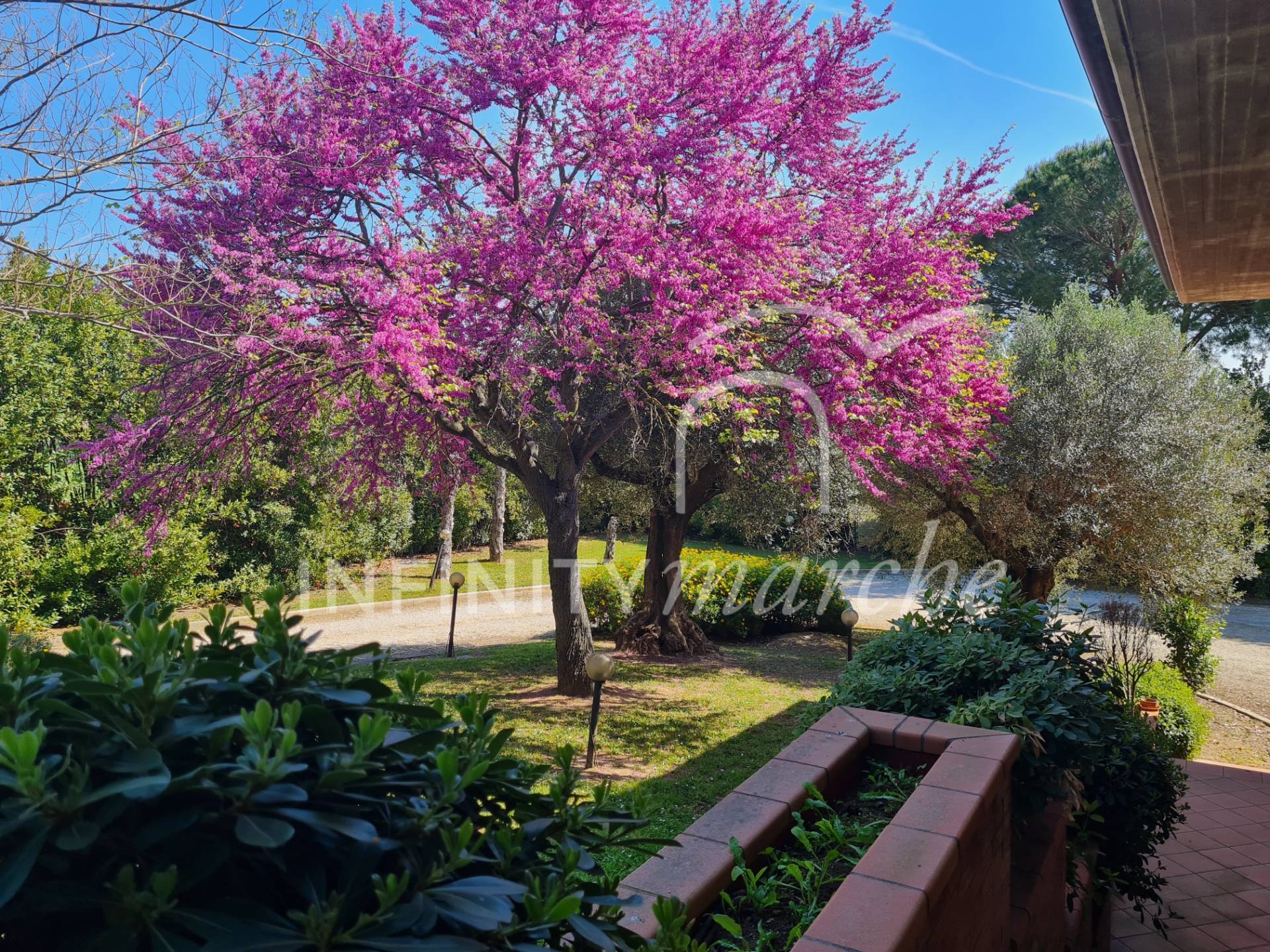 House in Morrovalle (Macerata)