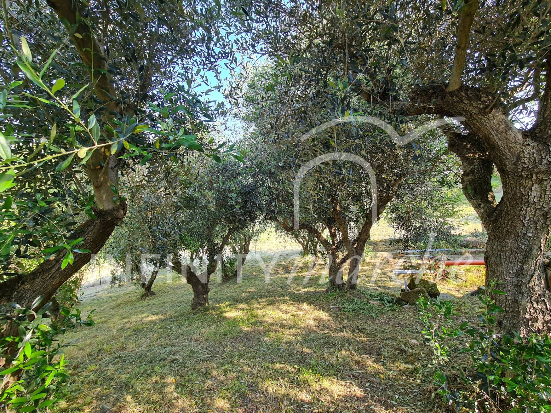 Casale a Monte San Giusto (Macerata)