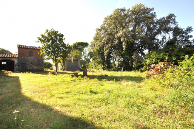 Rustico in vendita a Alberoro, Monte San Savino (AR)