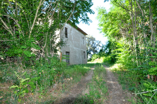 Rustico in vendita a Alberoro, Monte San Savino (AR)