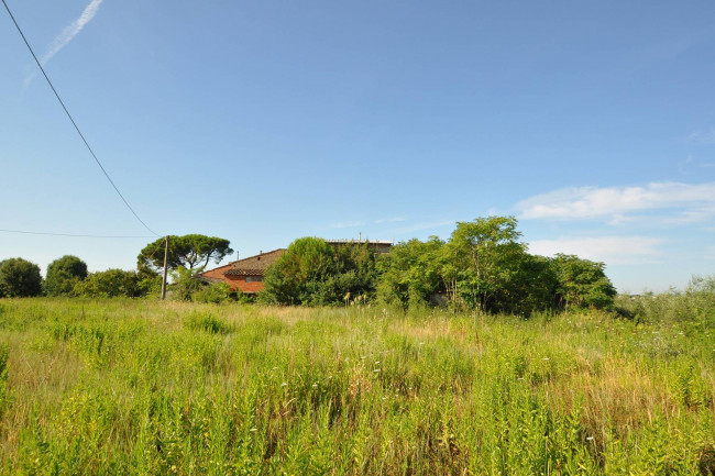 Rustico in vendita a Alberoro, Monte San Savino (AR)