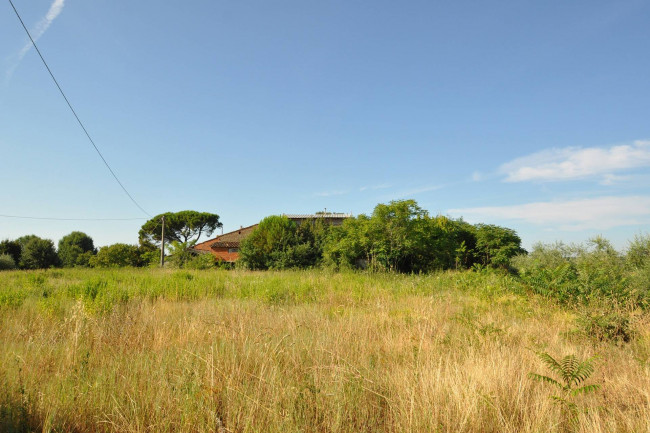 Rustico in vendita a Alberoro, Monte San Savino (AR)