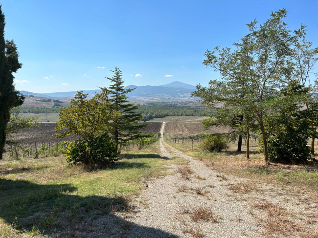 Rustico in vendita a Pienza (SI)