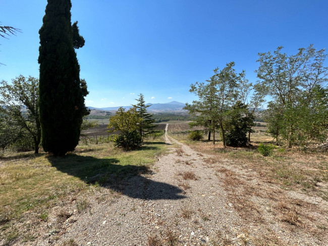 Rustico in vendita a Pienza (SI)