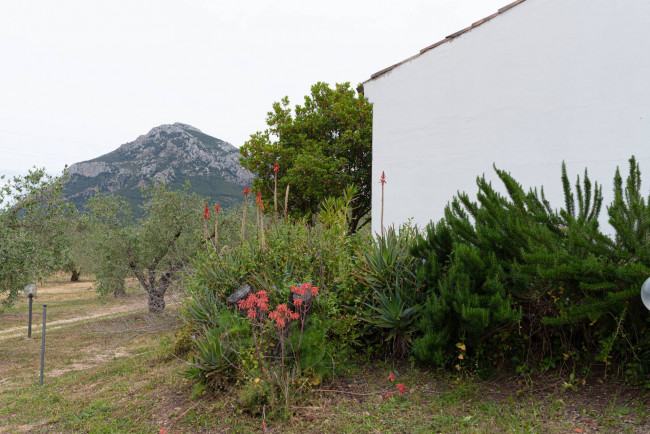 Rustico in vendita a Galtellì (NU)