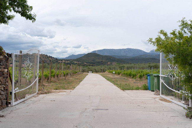 Rustico in vendita a Galtellì (NU)