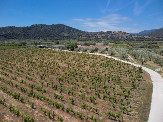 Rustico in vendita a Galtellì (NU)