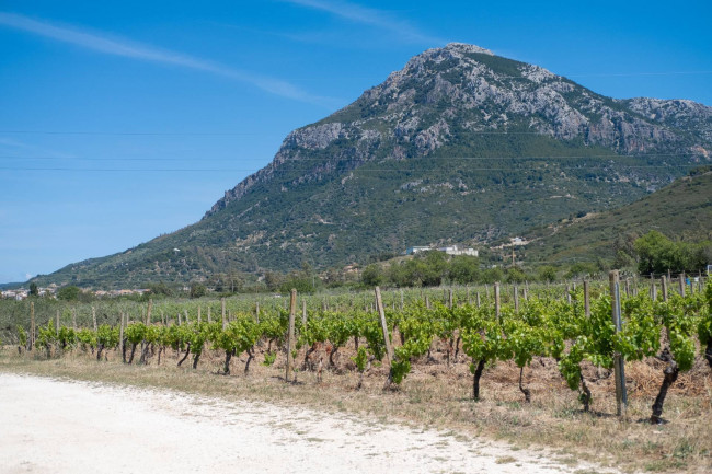 Rustico in vendita a Galtellì (NU)