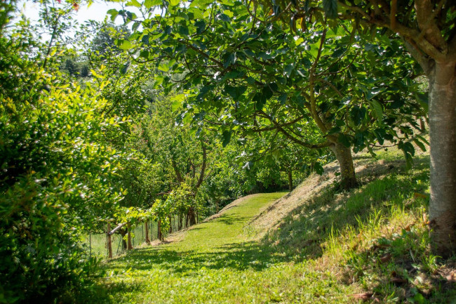 Rustico in vendita a Chiusi (SI)