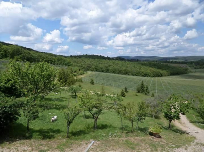 Rustico in vendita a Rapolano Terme (SI)