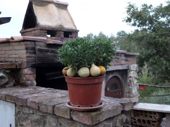 Rustico in vendita a Rapolano Terme (SI)