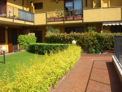 Appartamento in affitto a Segrate