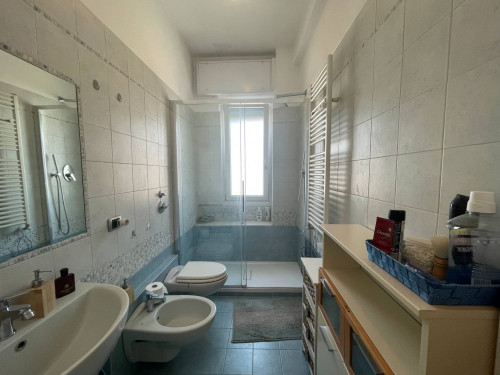 2 Locali in affitto a Segrate