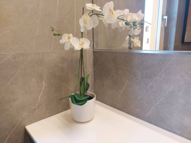 3 Locali in affitto a Monza