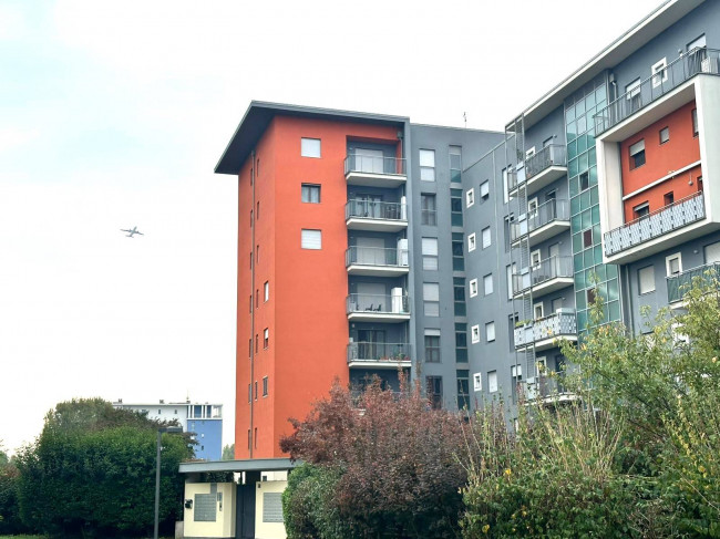 2 Locali in affitto a Segrate