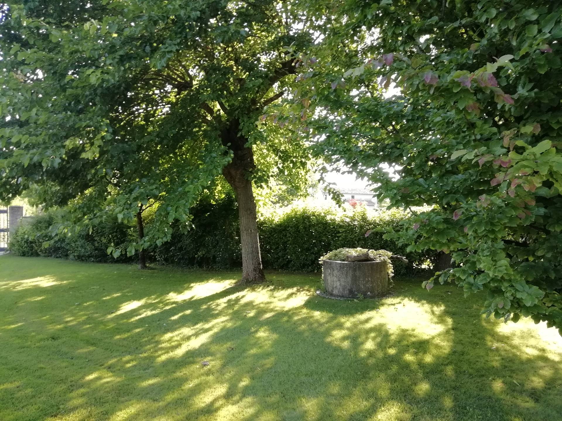 Rustico - Cascina SAN BIAGIO DI CALLALTA vendita    Premier Casa Immobiliare di Marzia Ingoglia e C. s.a.s.