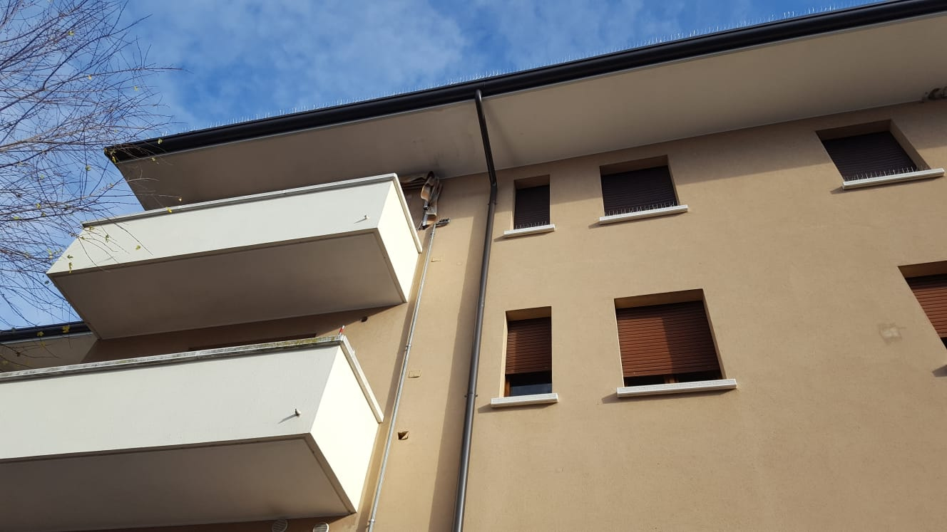 Appartamento VILLORBA vendita  Fontane  Premier Casa Immobiliare di Marzia Ingoglia e C. s.a.s.