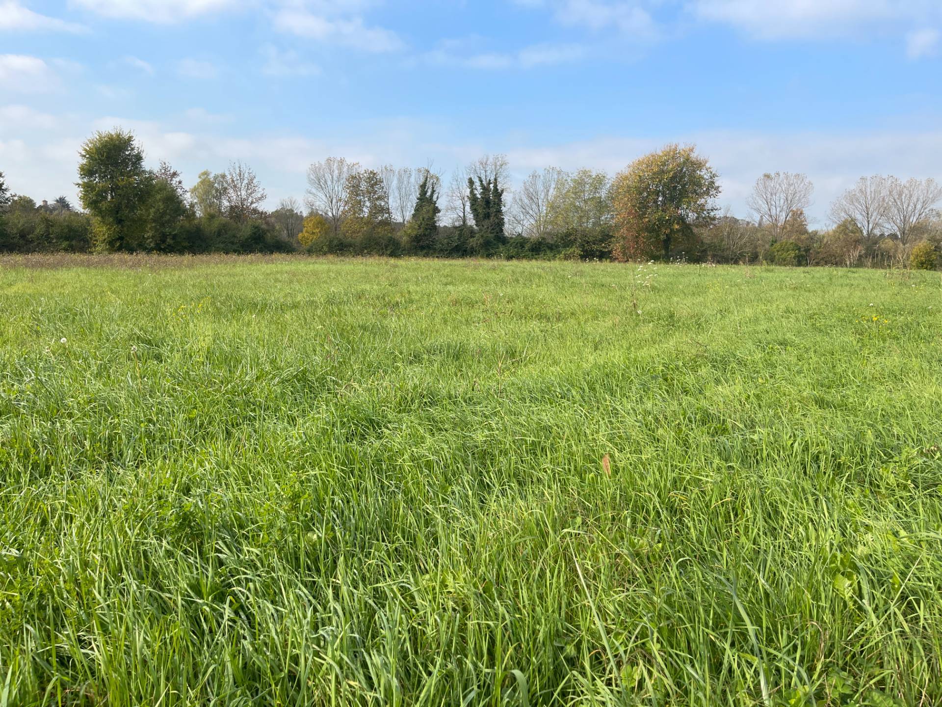 Terreno agricolo in vendita a Silea (TV)