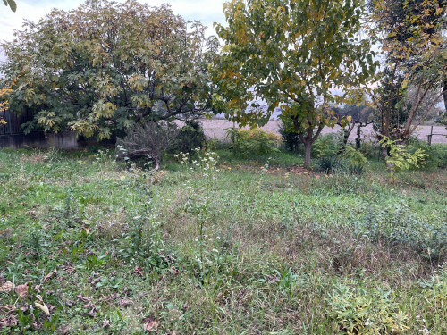 Terreno edificabile in vendita a Roncade
