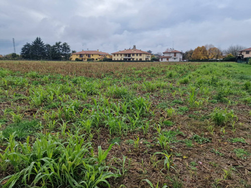 Terreno Agricolo in vendita a Carbonera