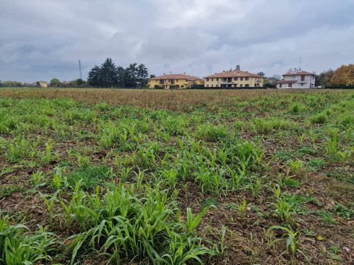 Terreno Agricolo in vendita a Carbonera