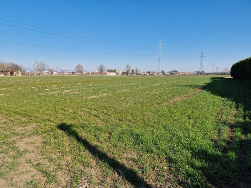 Terreno Agricolo in vendita a Roncade