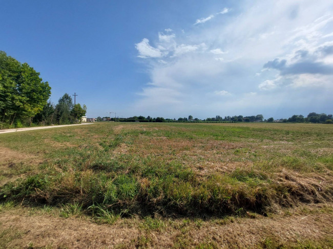 Terreno edificabile in vendita a Casale sul Sile