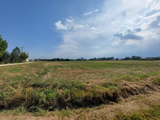 Terreno edificabile in vendita a Casale sul Sile