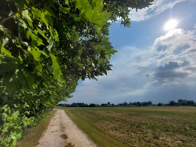 Terreno edificabile in vendita a Casale sul Sile