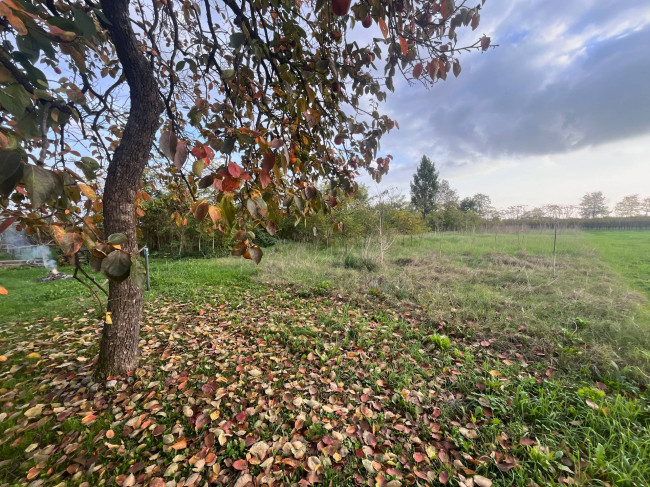 Appartamento in vendita a Silea