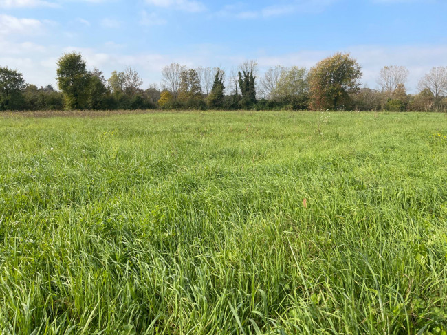 Terreno agricolo in vendita a Silea (TV)