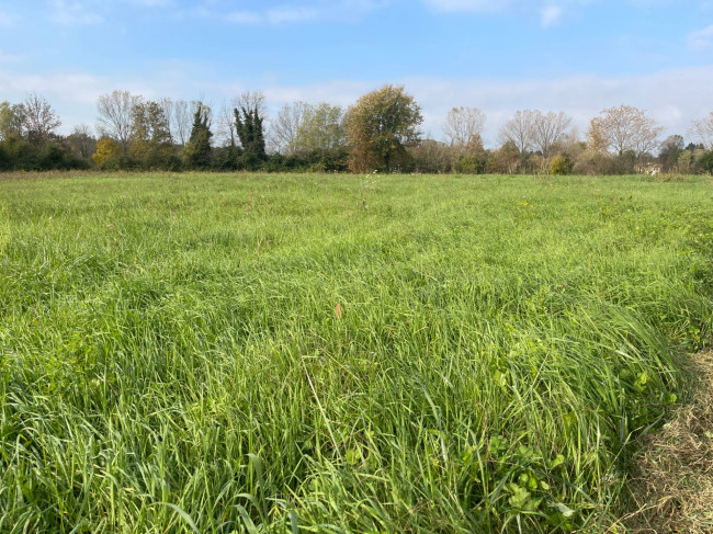 Terreno agricolo in vendita a Silea (TV)