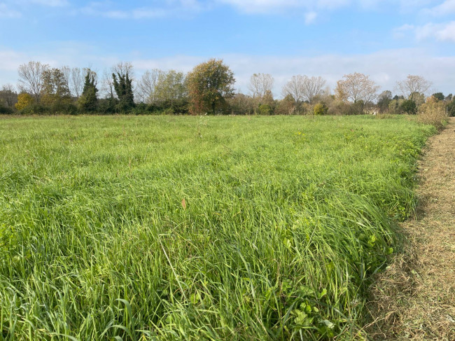 Terreno agricolo in vendita a Silea (TV)