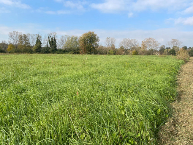 Terreno agricolo in vendita a Silea (TV)