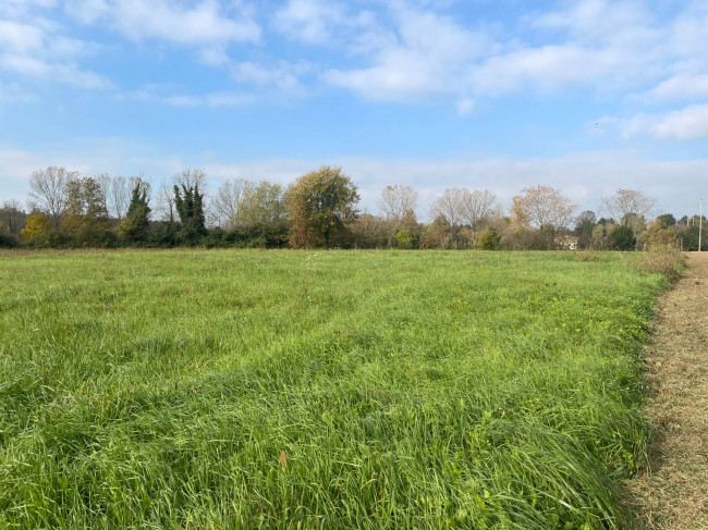 Terreno agricolo in vendita a Silea (TV)