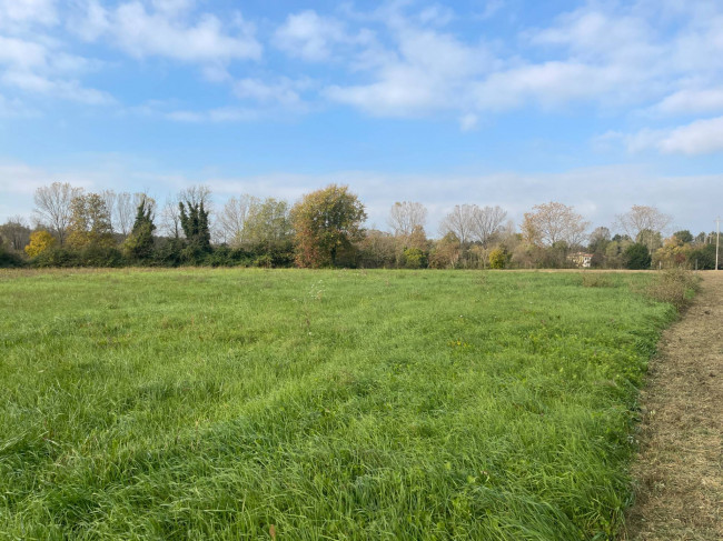 Terreno agricolo in vendita a Silea (TV)