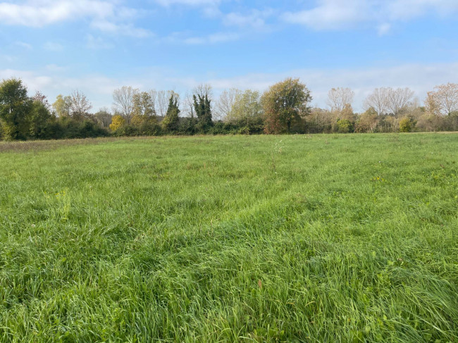 Terreno agricolo in vendita a Silea (TV)